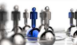 Limited Liability Companies